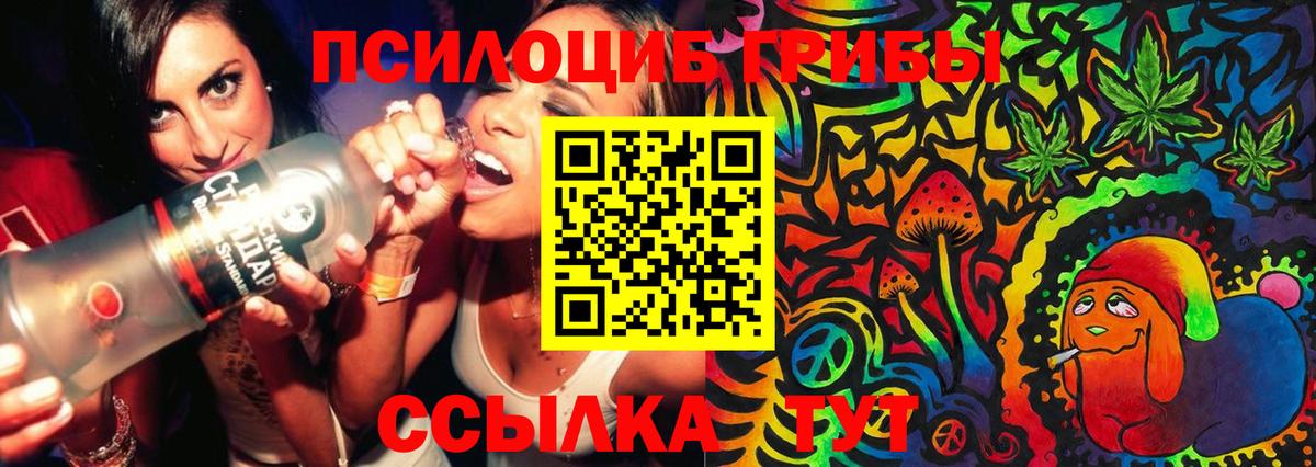 Галлюциногенные грибы Cubensis Гуково