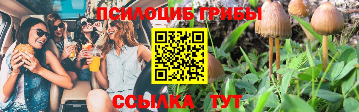 Галлюциногенные грибы Cubensis  Псилоцибиновые грибы мицелий  Гуково  Вход с VPN 